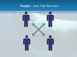 Swim Bear Fauna PowerPoint Template
