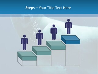 Swim Bear Fauna PowerPoint Template