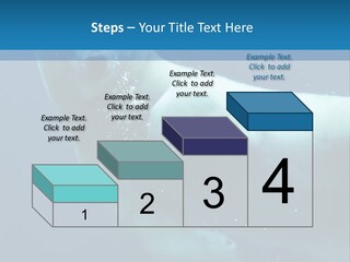 Swim Bear Fauna PowerPoint Template