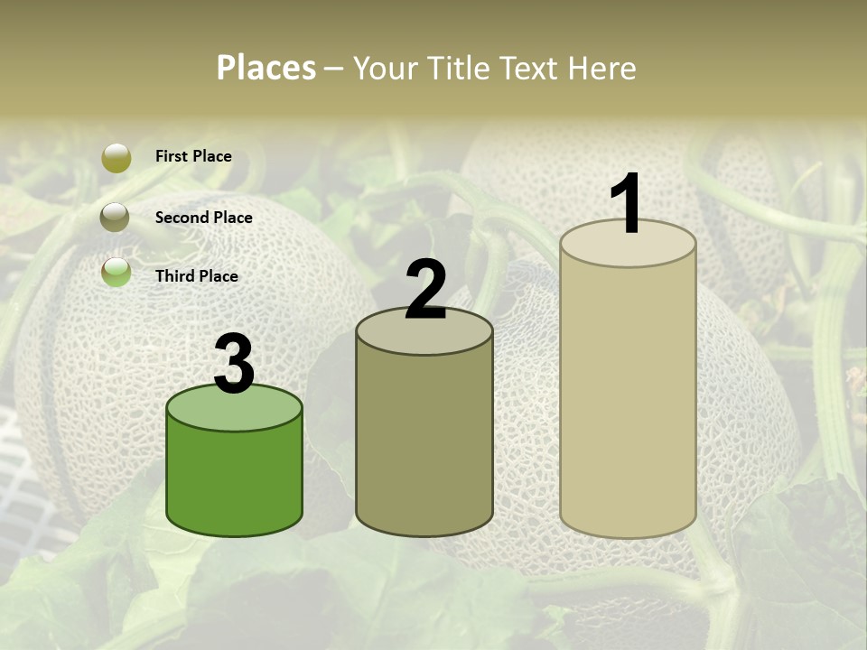 Souvenir Summer Harvest PowerPoint Template