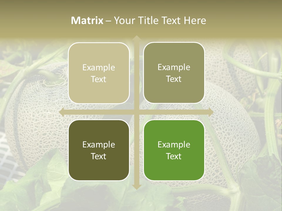 Souvenir Summer Harvest PowerPoint Template