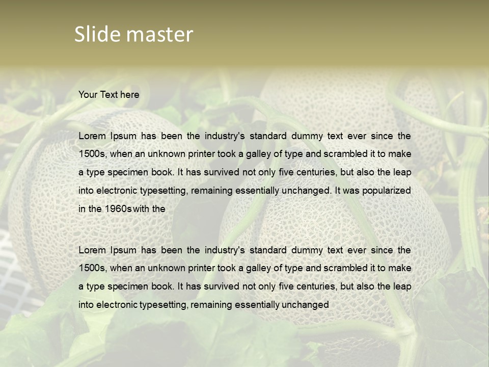 Souvenir Summer Harvest PowerPoint Template