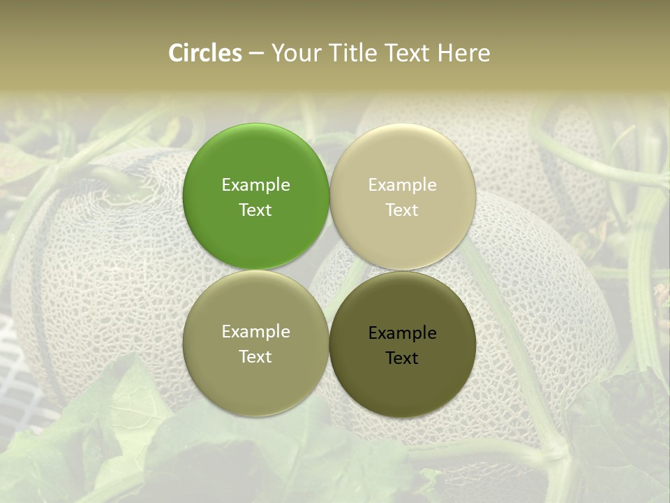 Souvenir Summer Harvest PowerPoint Template