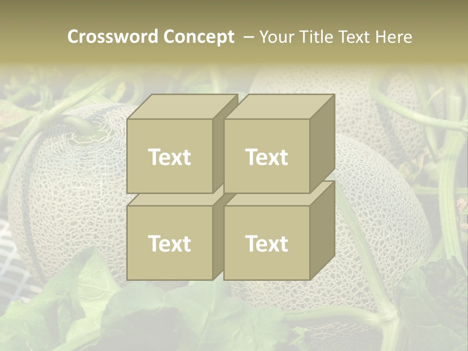 Souvenir Summer Harvest PowerPoint Template