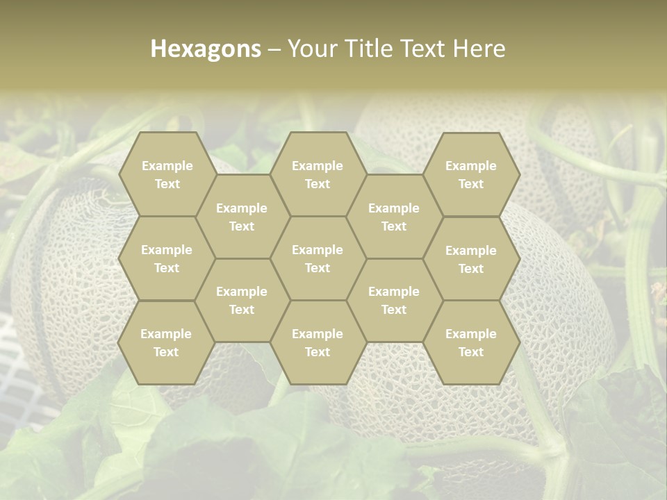 Souvenir Summer Harvest PowerPoint Template