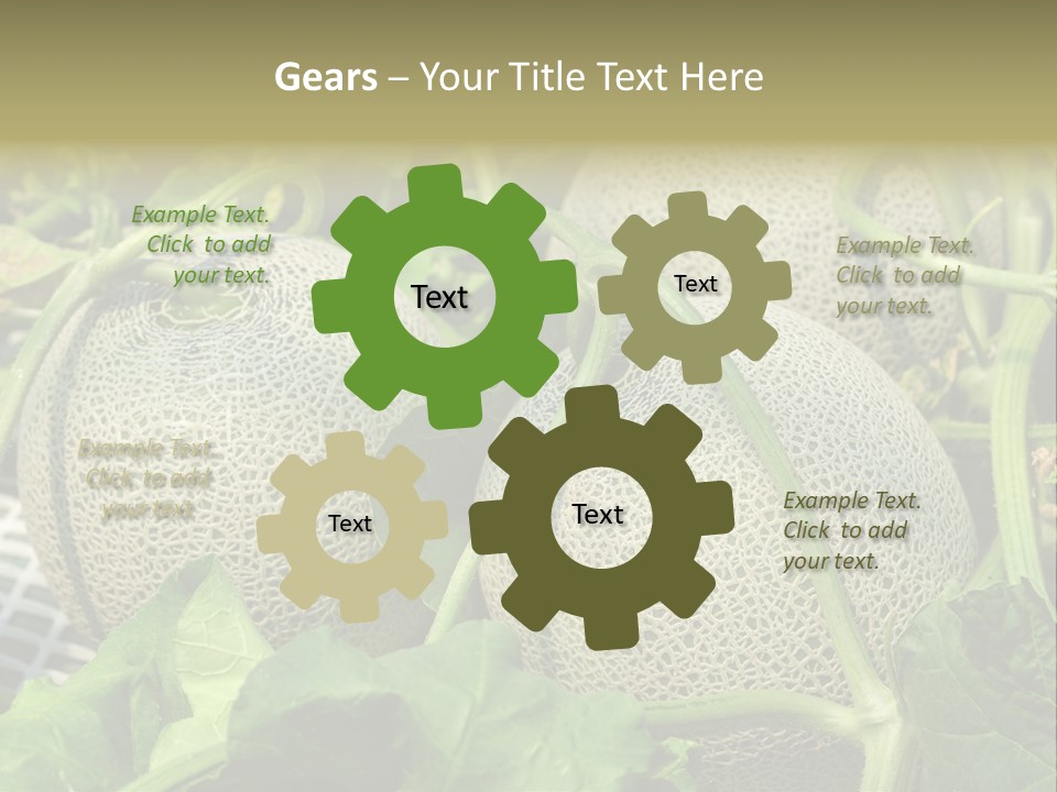 Souvenir Summer Harvest PowerPoint Template