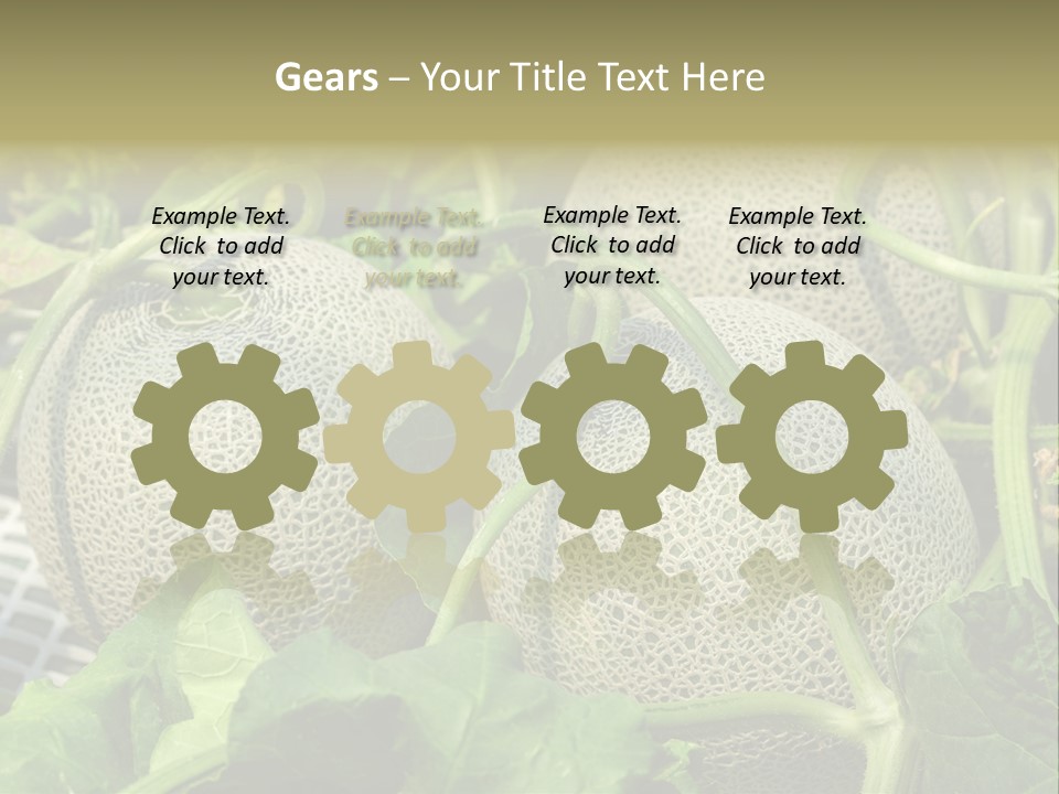 Souvenir Summer Harvest PowerPoint Template