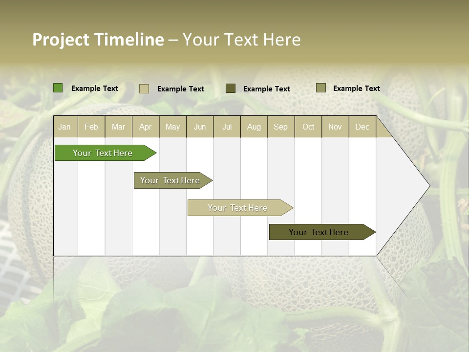 Souvenir Summer Harvest PowerPoint Template