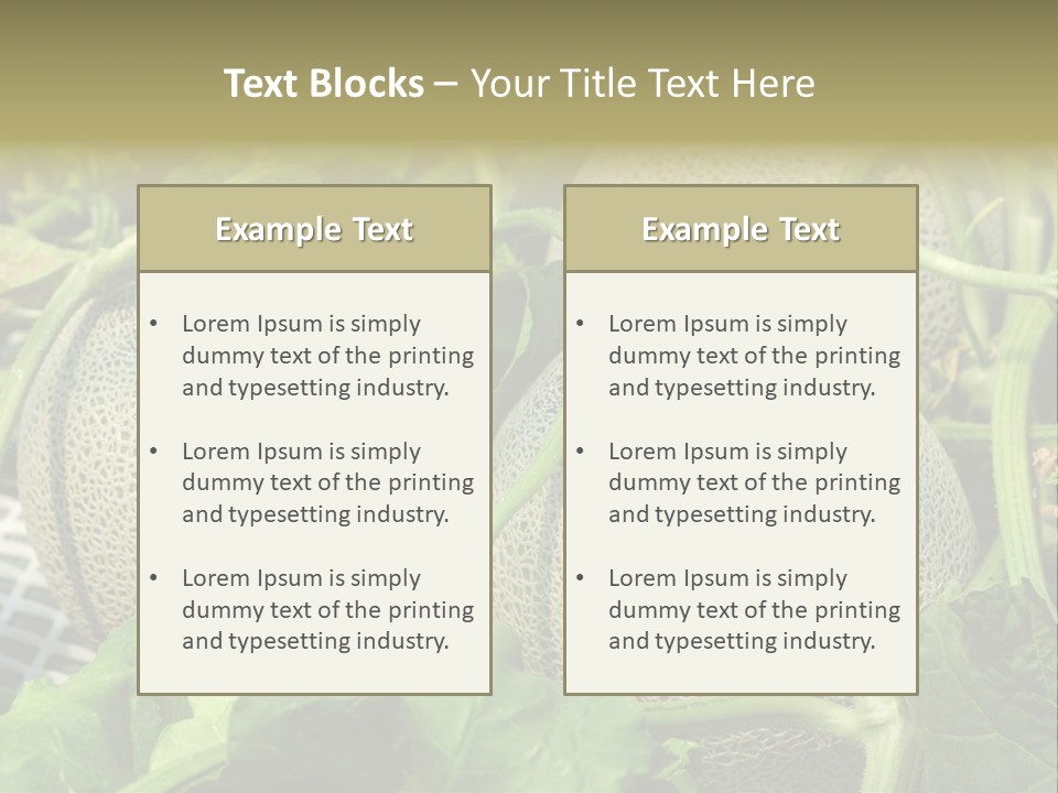 Souvenir Summer Harvest PowerPoint Template