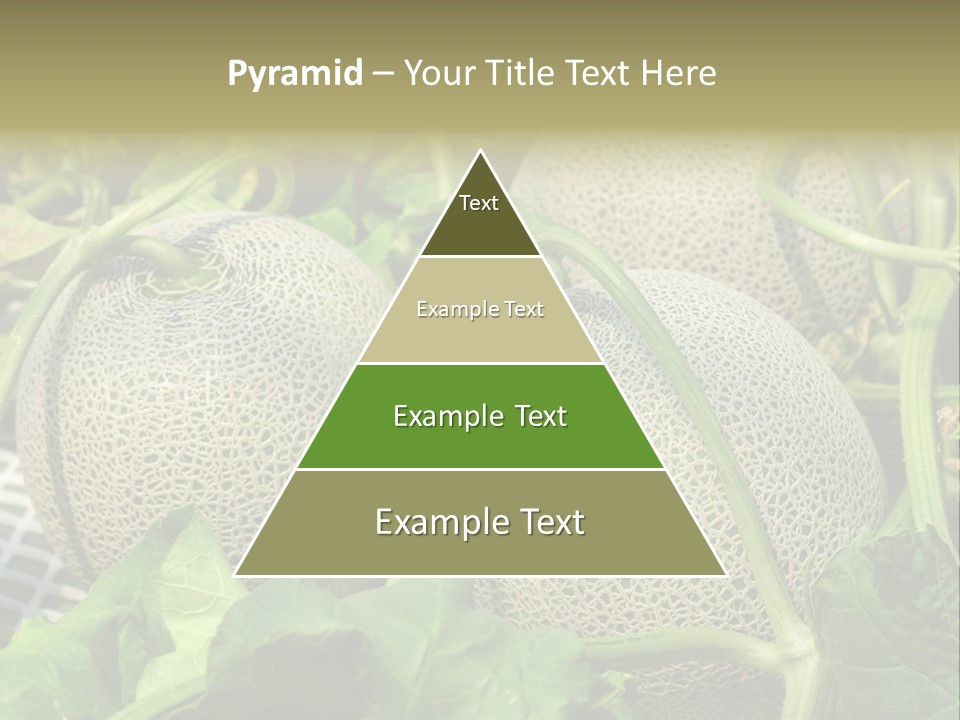 Souvenir Summer Harvest PowerPoint Template