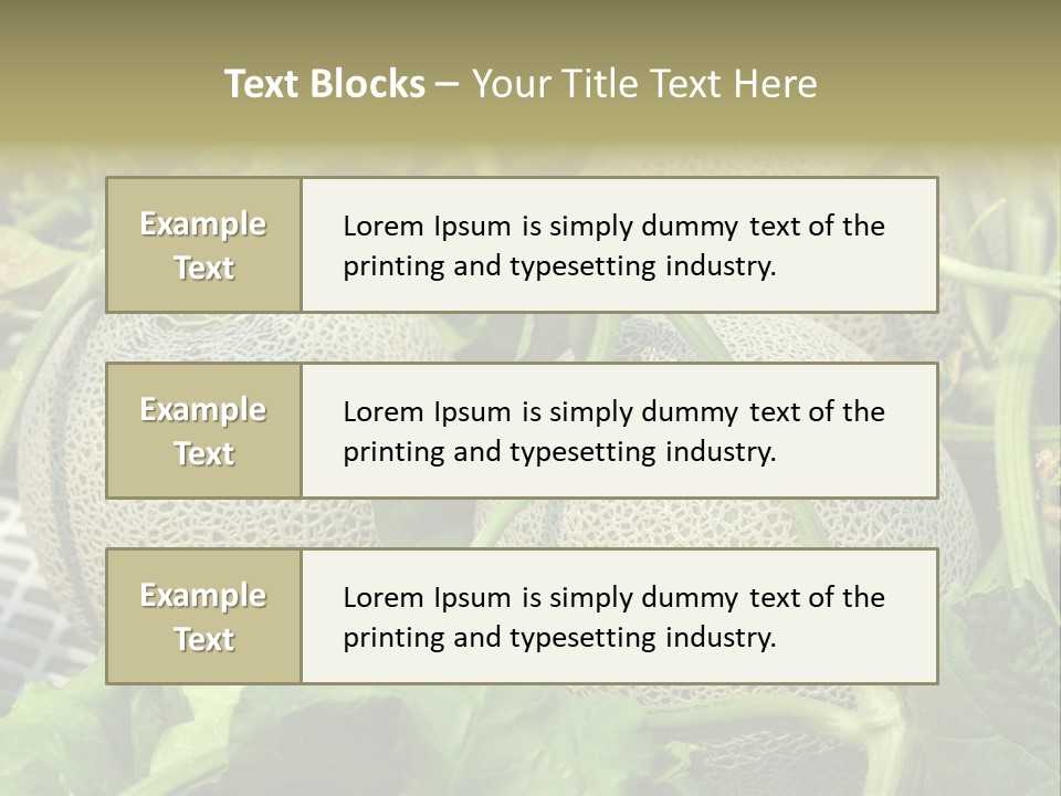 Souvenir Summer Harvest PowerPoint Template