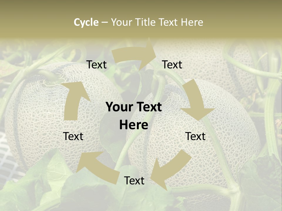 Souvenir Summer Harvest PowerPoint Template
