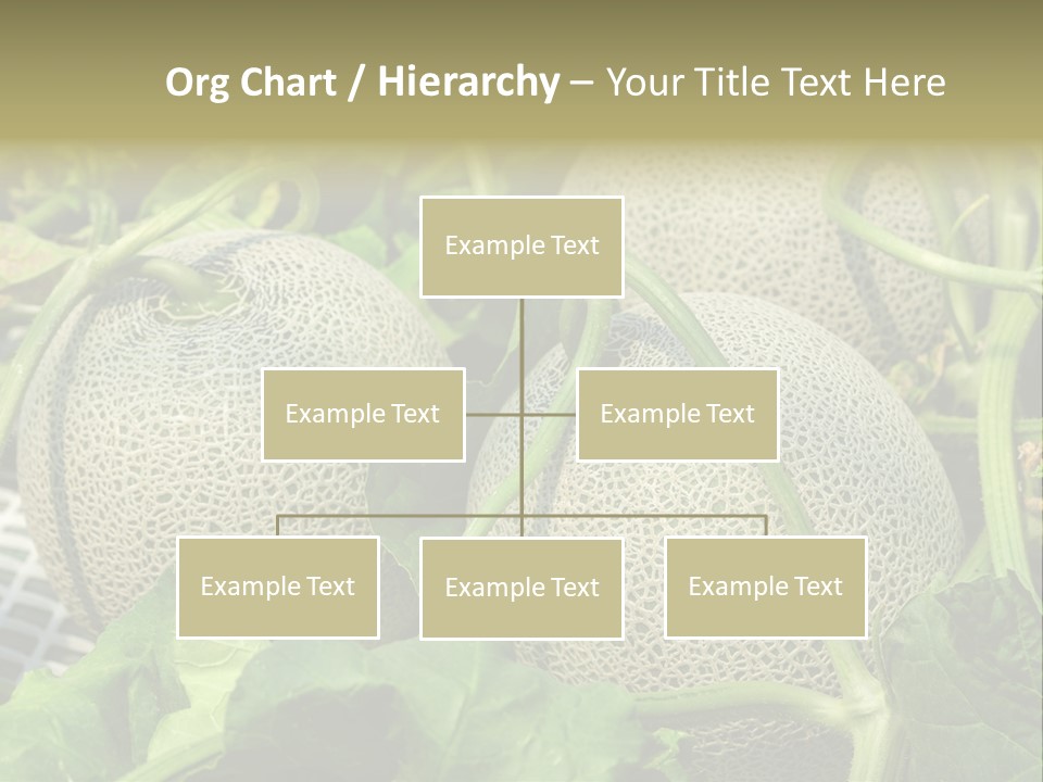 Souvenir Summer Harvest PowerPoint Template