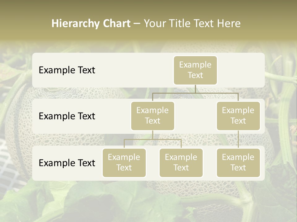 Souvenir Summer Harvest PowerPoint Template