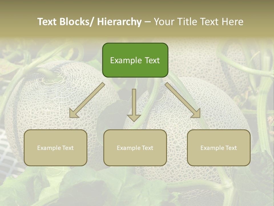 Souvenir Summer Harvest PowerPoint Template