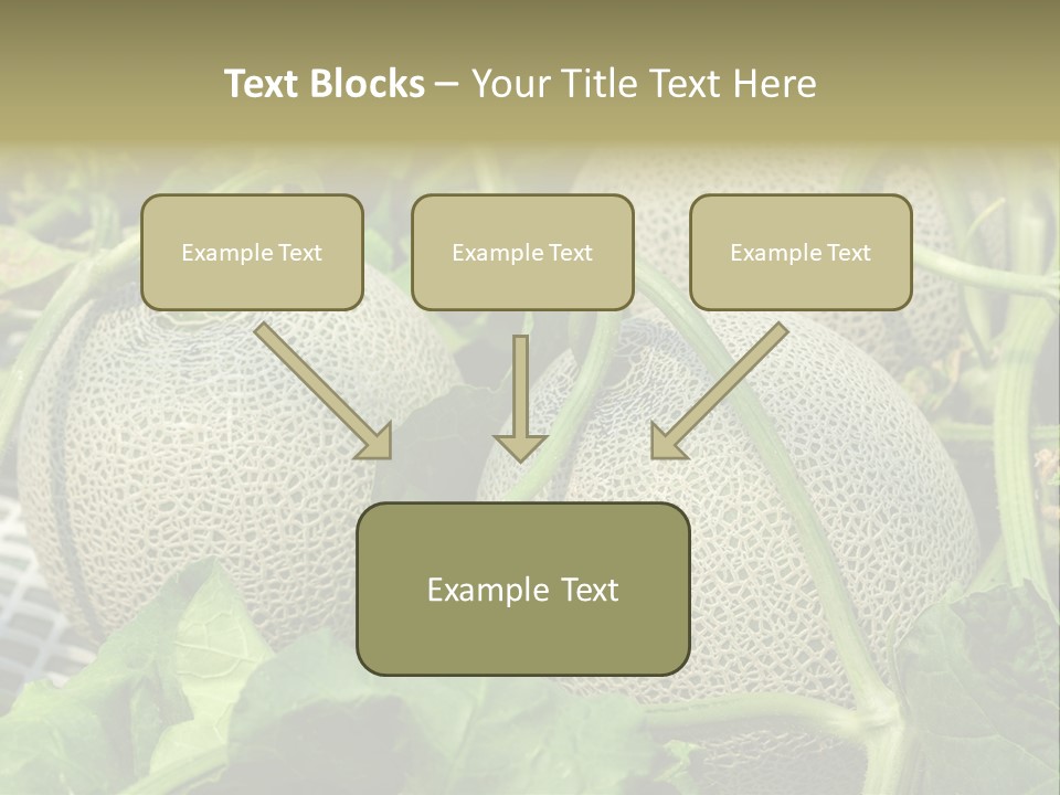 Souvenir Summer Harvest PowerPoint Template