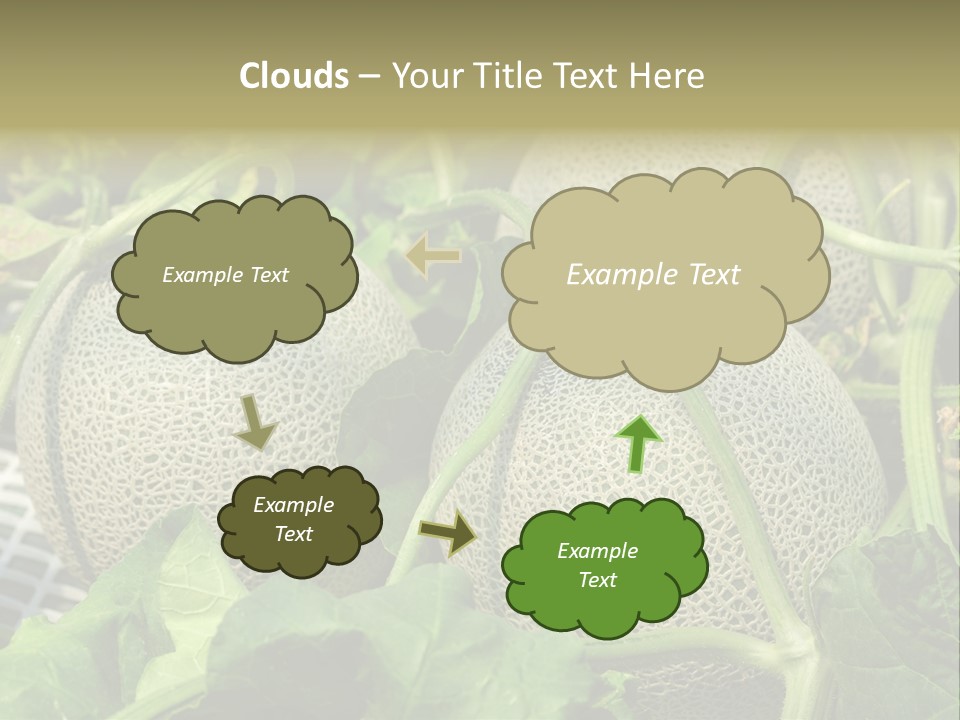 Souvenir Summer Harvest PowerPoint Template