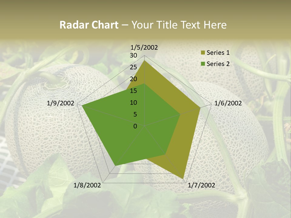 Souvenir Summer Harvest PowerPoint Template