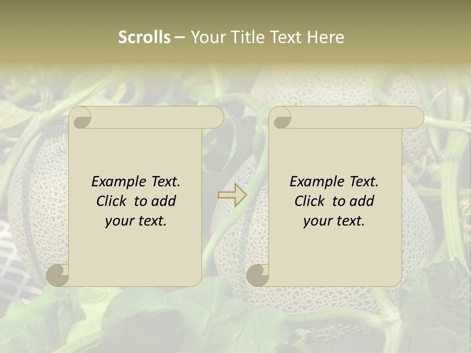 Souvenir Summer Harvest PowerPoint Template