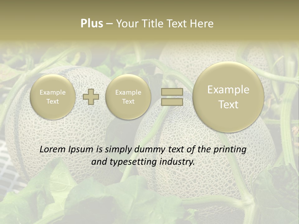Souvenir Summer Harvest PowerPoint Template