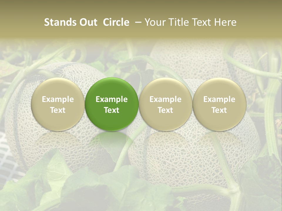 Souvenir Summer Harvest PowerPoint Template