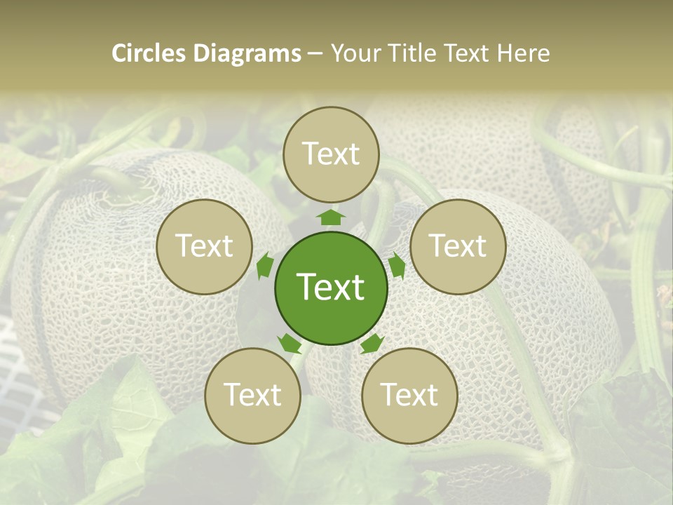 Souvenir Summer Harvest PowerPoint Template