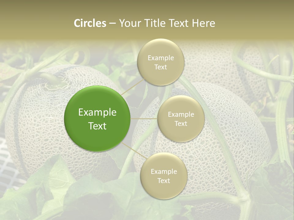 Souvenir Summer Harvest PowerPoint Template