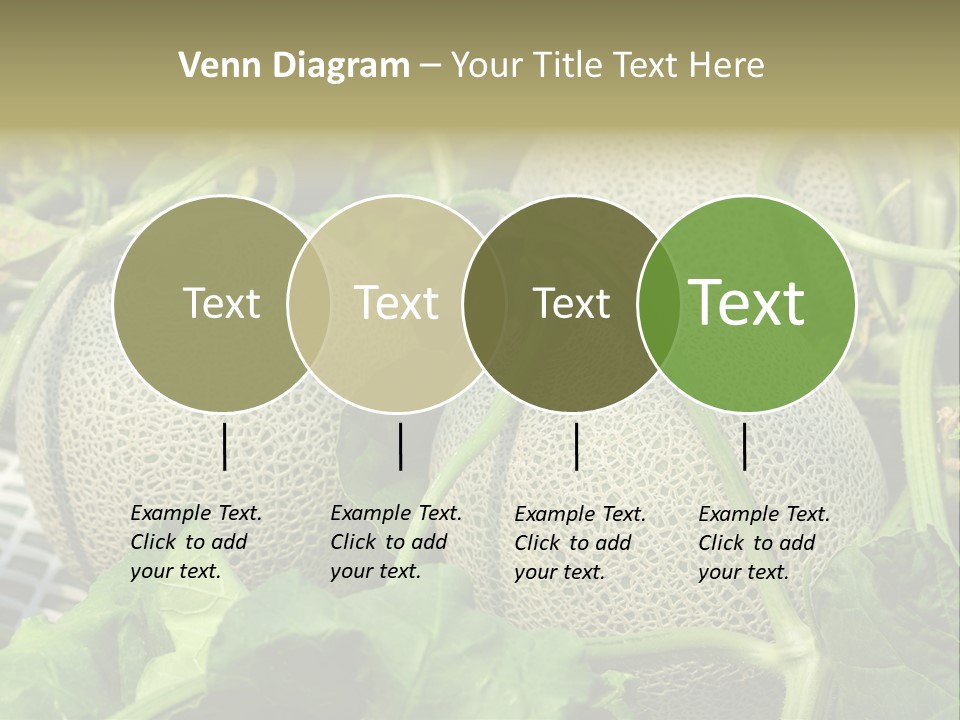 Souvenir Summer Harvest PowerPoint Template