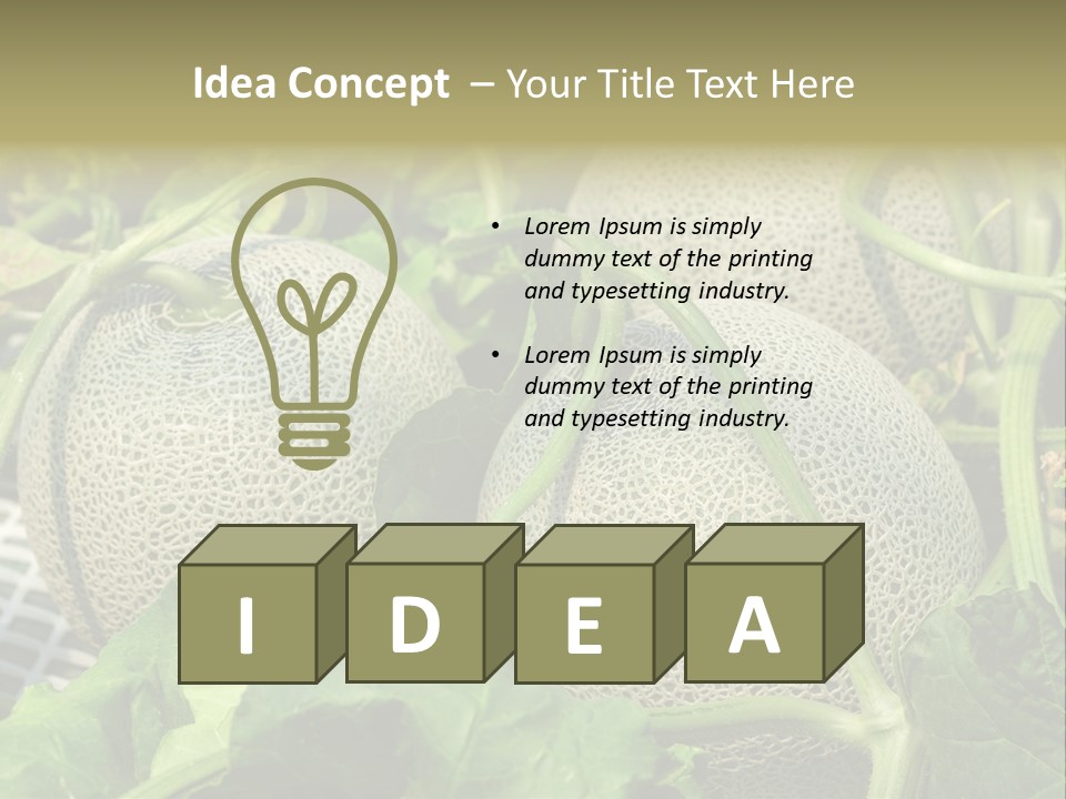 Souvenir Summer Harvest PowerPoint Template