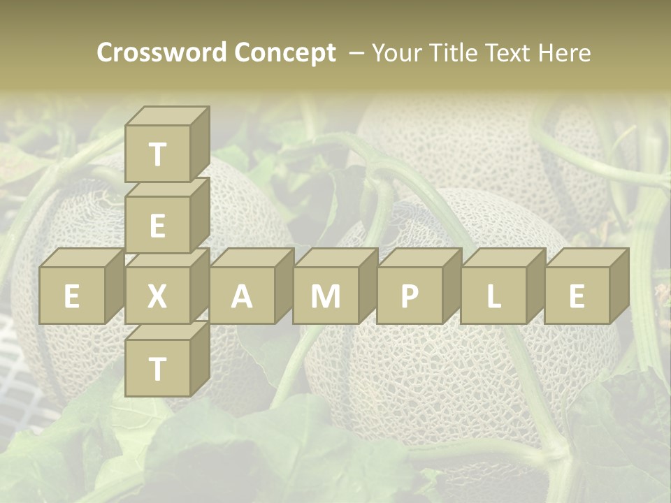 Souvenir Summer Harvest PowerPoint Template