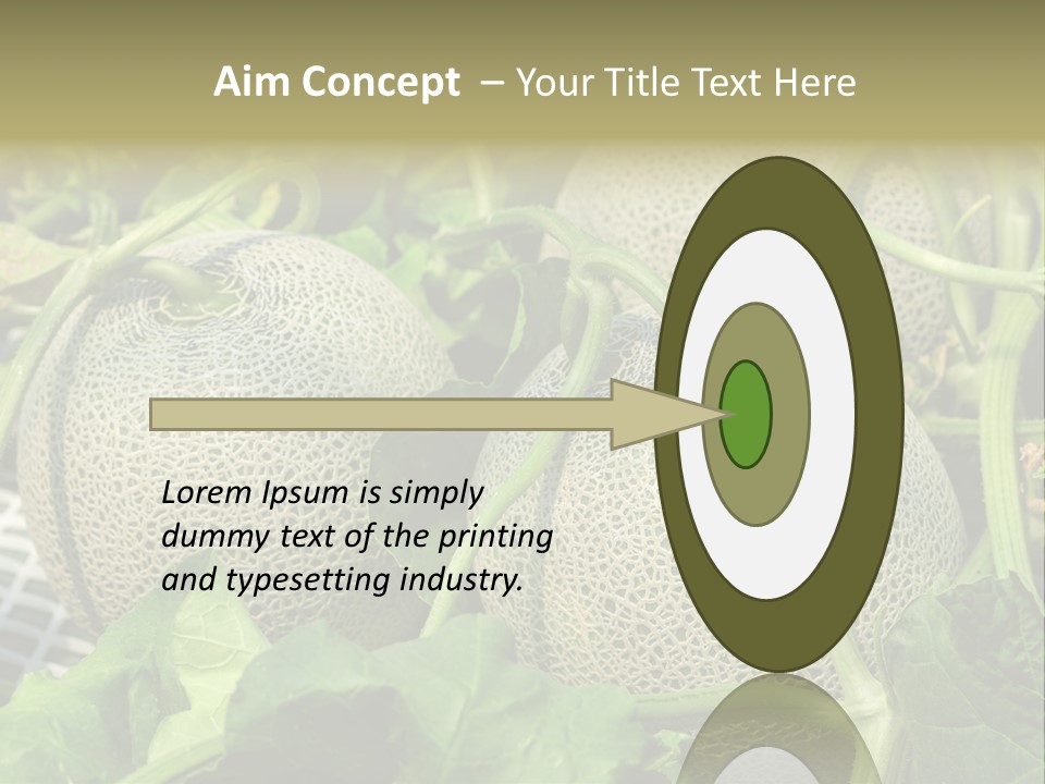 Souvenir Summer Harvest PowerPoint Template