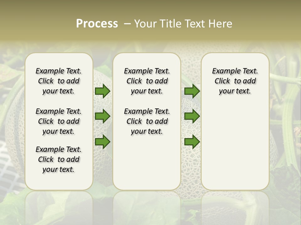 Souvenir Summer Harvest PowerPoint Template