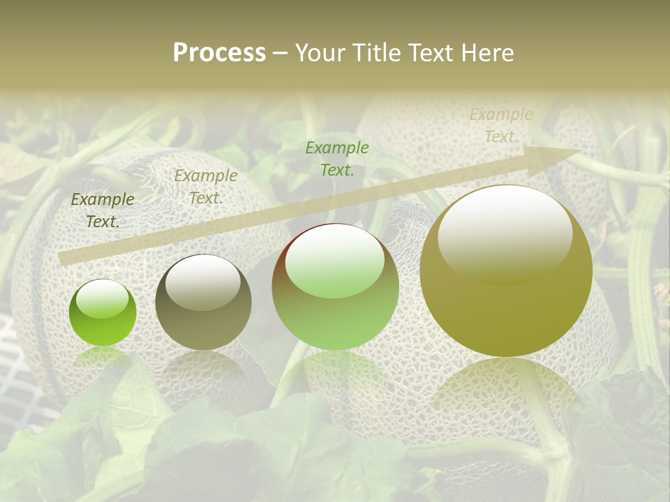 Souvenir Summer Harvest PowerPoint Template