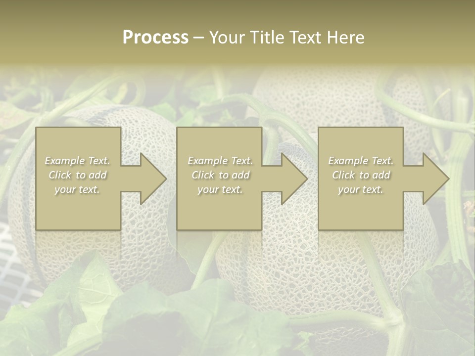 Souvenir Summer Harvest PowerPoint Template