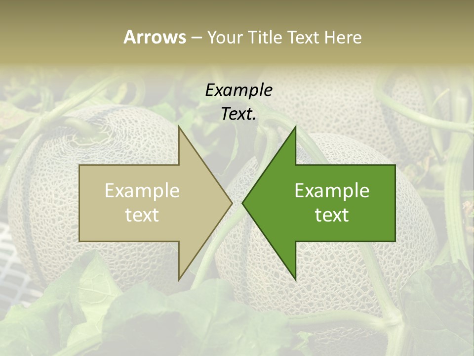 Souvenir Summer Harvest PowerPoint Template