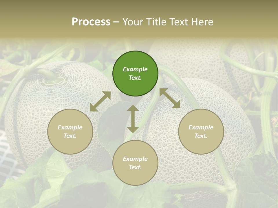 Souvenir Summer Harvest PowerPoint Template