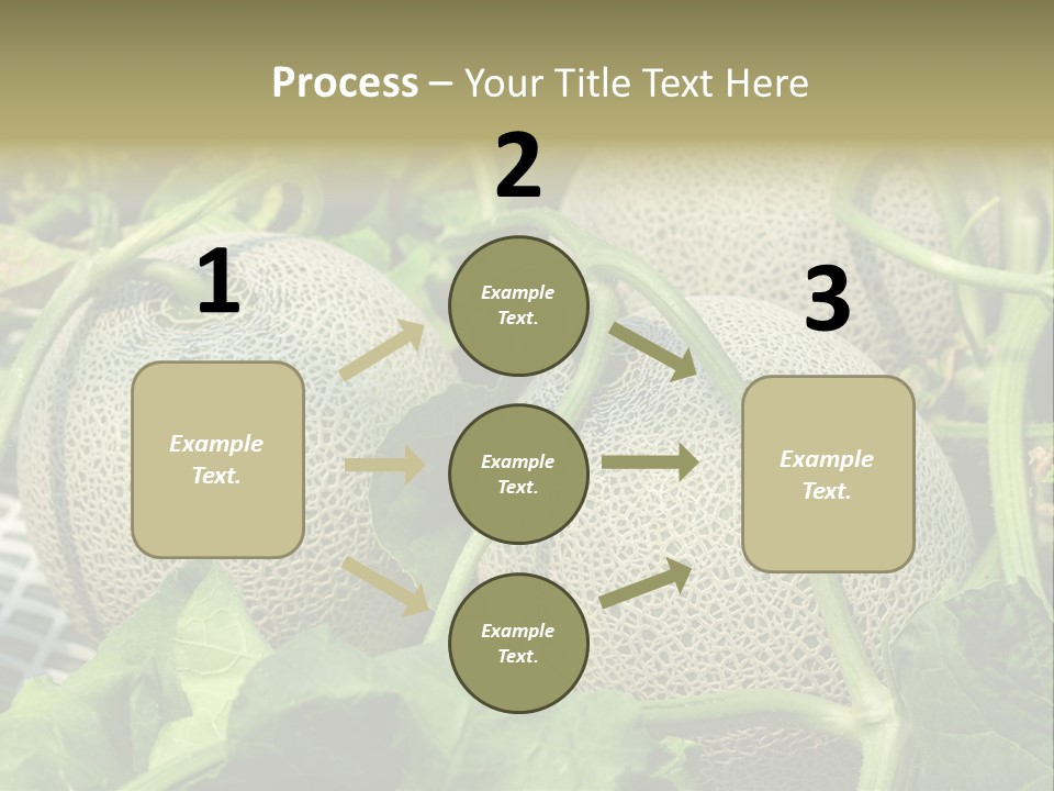 Souvenir Summer Harvest PowerPoint Template