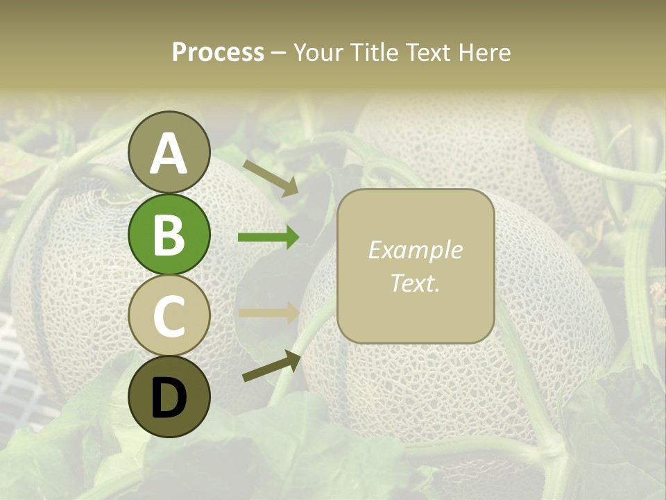 Souvenir Summer Harvest PowerPoint Template