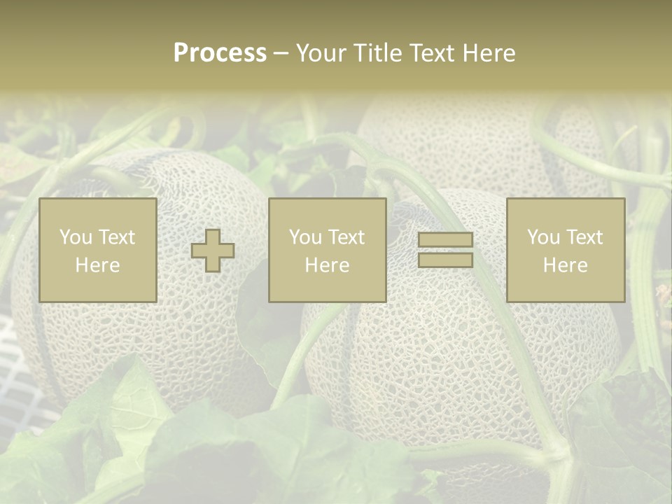 Souvenir Summer Harvest PowerPoint Template