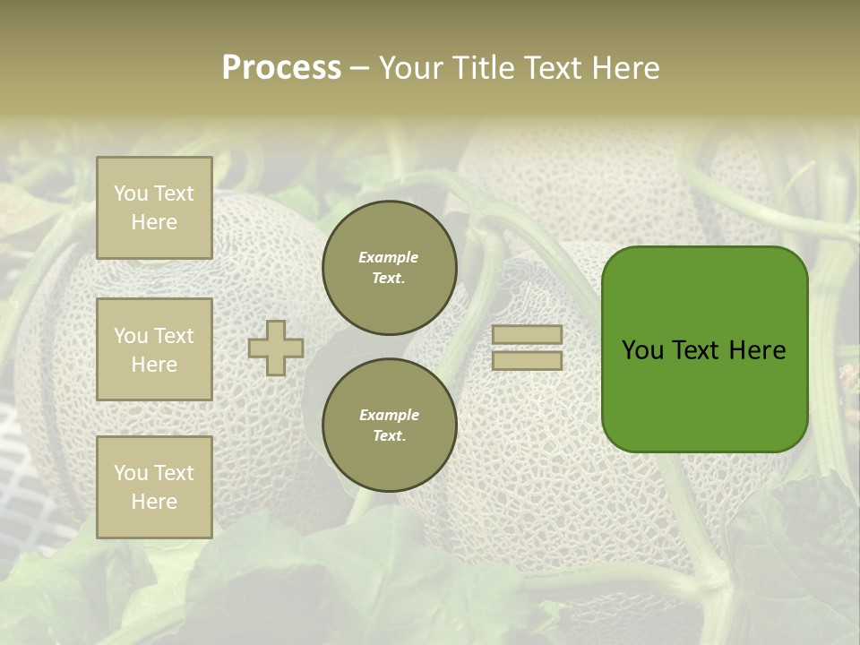 Souvenir Summer Harvest PowerPoint Template