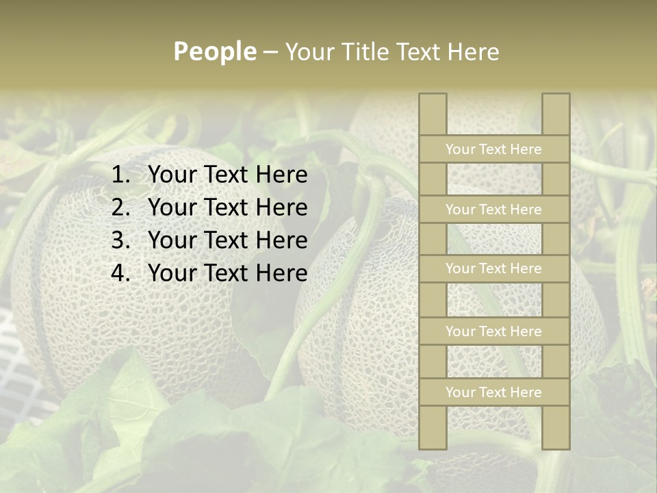 Souvenir Summer Harvest PowerPoint Template