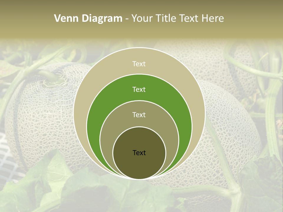Souvenir Summer Harvest PowerPoint Template