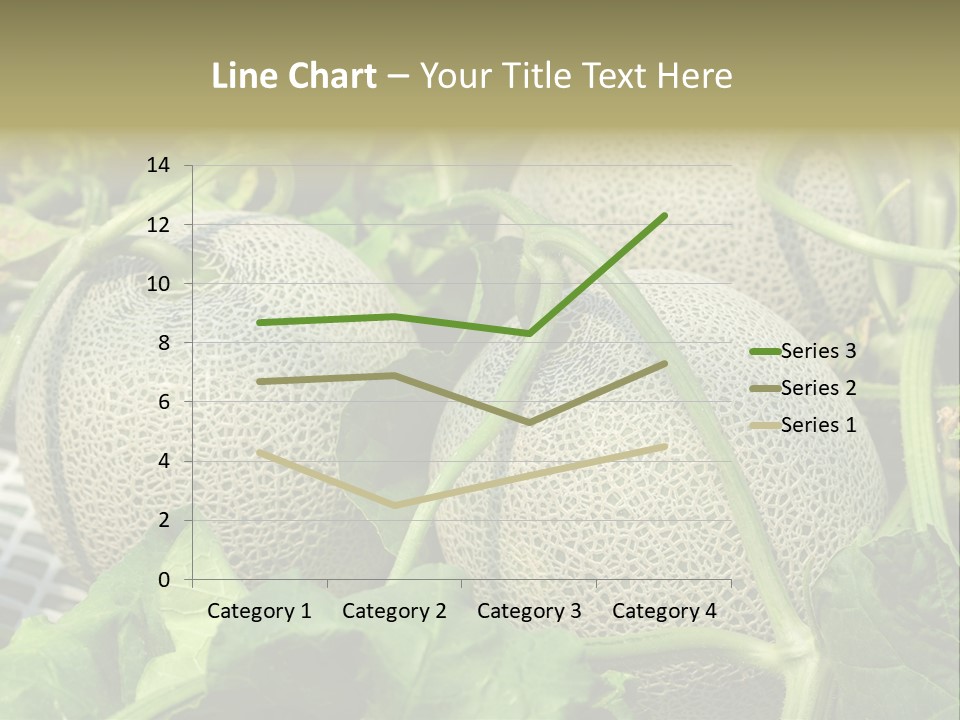 Souvenir Summer Harvest PowerPoint Template