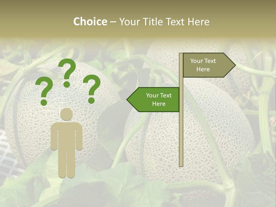 Souvenir Summer Harvest PowerPoint Template