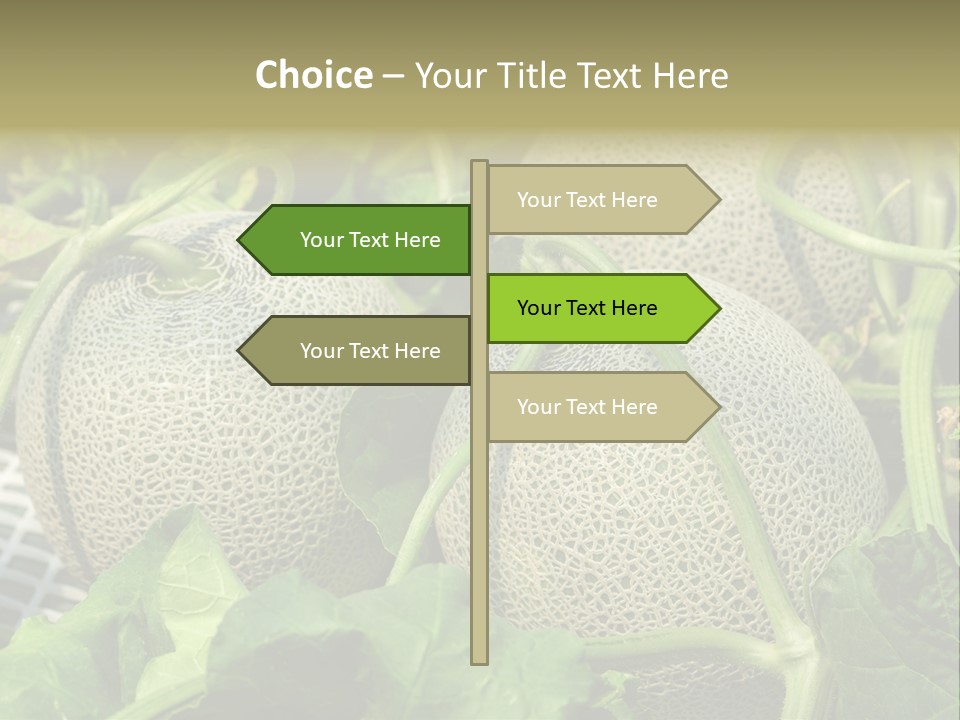 Souvenir Summer Harvest PowerPoint Template