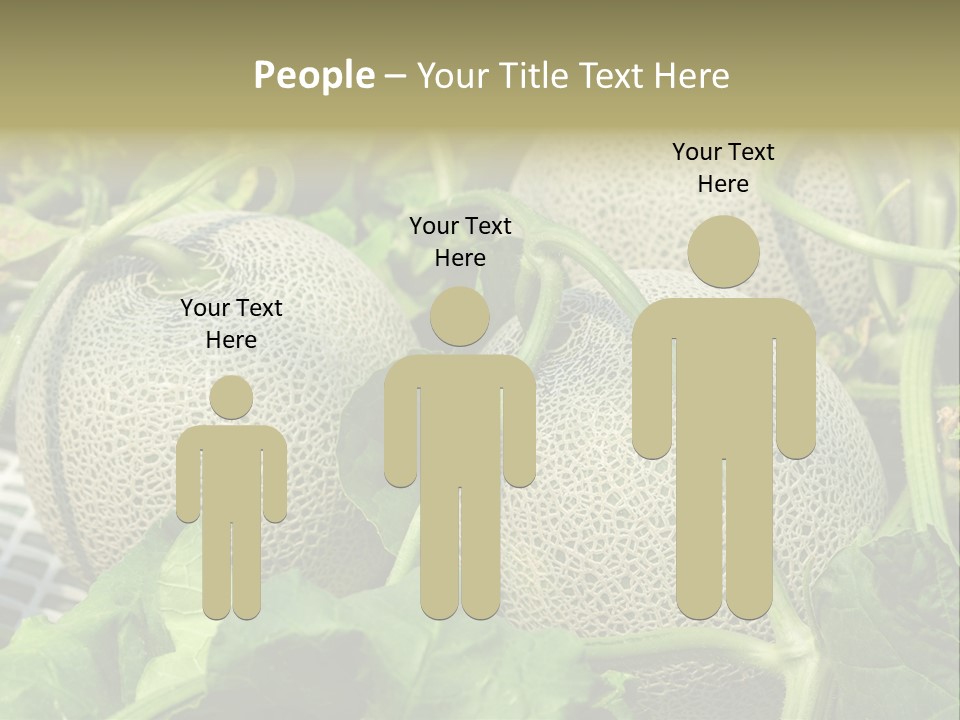 Souvenir Summer Harvest PowerPoint Template