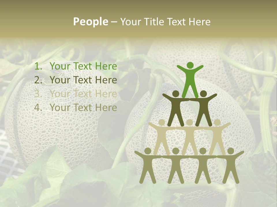 Souvenir Summer Harvest PowerPoint Template