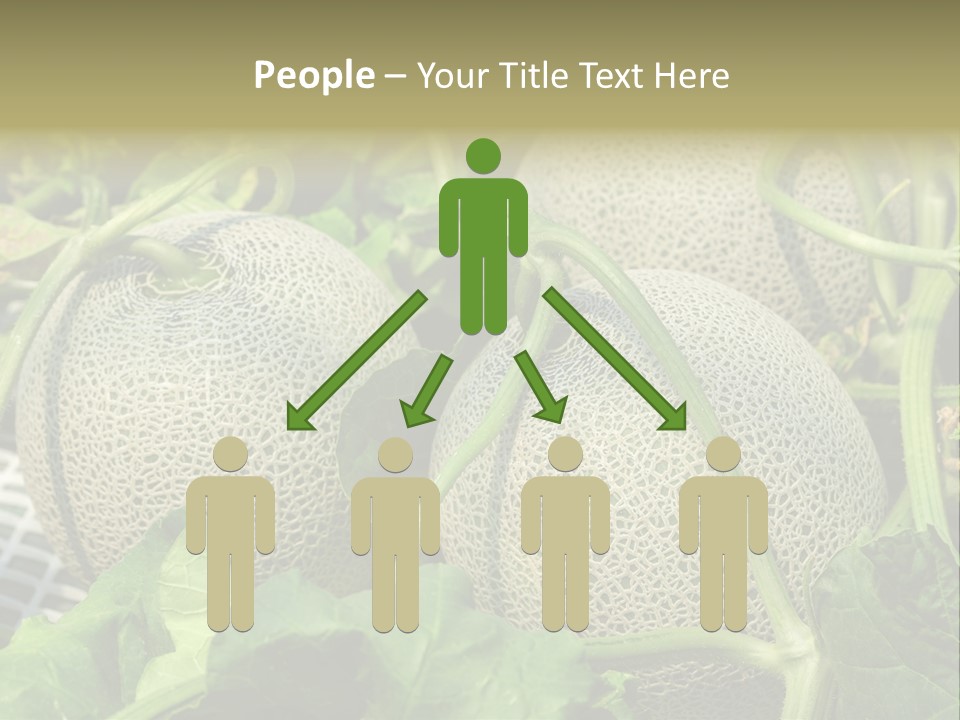 Souvenir Summer Harvest PowerPoint Template