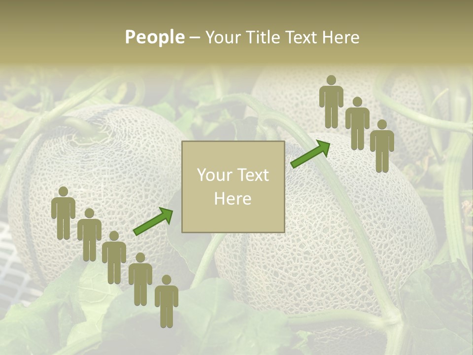 Souvenir Summer Harvest PowerPoint Template