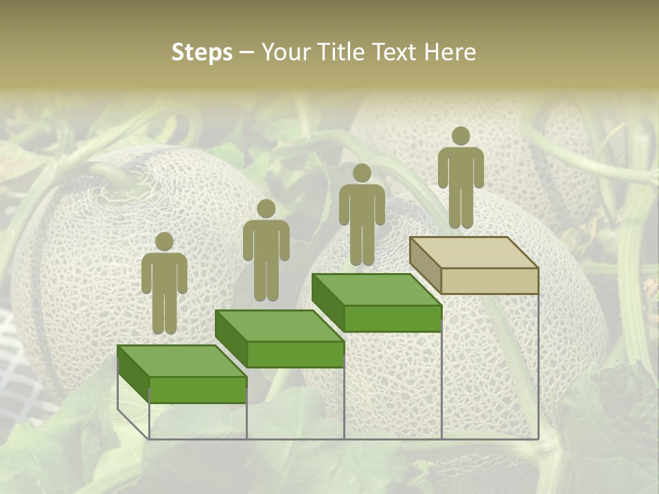 Souvenir Summer Harvest PowerPoint Template